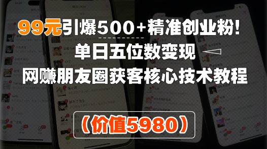 99元引爆500+精准创业粉！单日五位数变现，网创朋友圈获客核心技术教程小白网创_互联网创业项目_网络创业小白网创