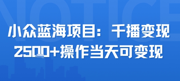 小众蓝海项目，千播变现2.5k+操作当天可变现小白网创_互联网创业项目_网络创业小白网创