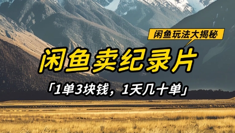 闲鱼卖纪录片1单3块钱，1天几十单，项目稳定有潜力小白网创_互联网创业项目_网络创业小白网创
