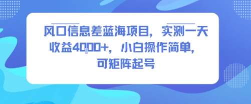 风口信息差蓝海项目，实测一天收益4k+，小白操作简单，可矩阵起号小白网创_互联网创业项目_网络创业小白网创