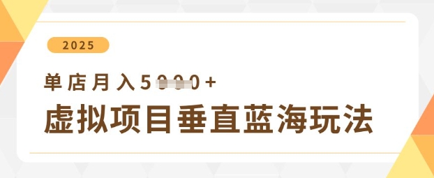 虚拟项目垂直玩法，实现单店月入5k+小白网创_互联网创业项目_网络创业小白网创