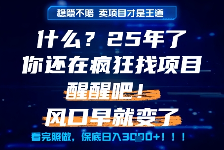 什么？25年你还在疯狂找项目做，醒醒吧，看完这些你全都懂了！【揭秘】小白网创_互联网创业项目_网络创业小白网创