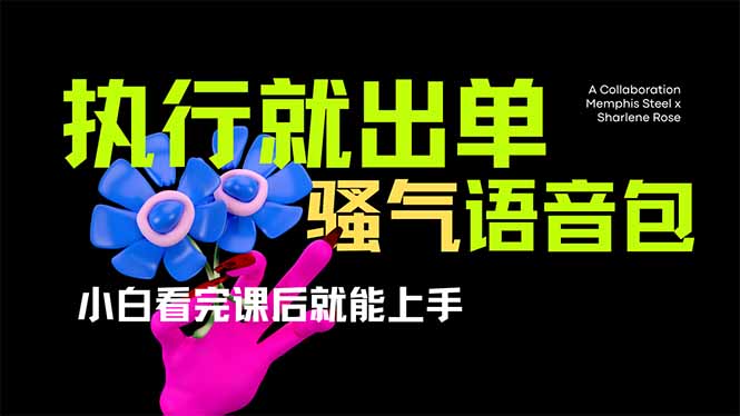 （14170期）爆火全网的开车导航骚气语音包,只要执行就出单，小白看完课程就能实操…小白网创_互联网创业项目_网络创业小白网创