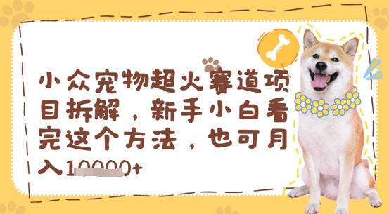 小众宠物超火赛道项目拆解，新手小白看完这个方法，也可月入过w小白网创_互联网创业项目_网络创业小白网创
