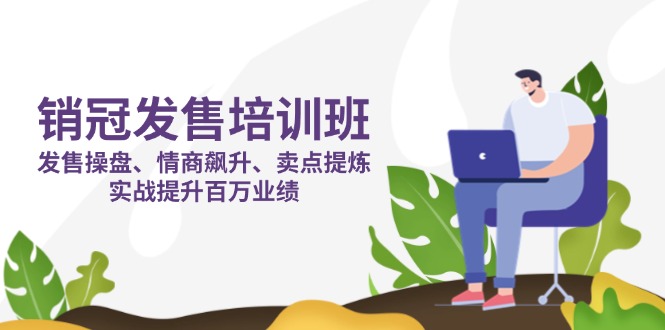 （14203期）销冠 发售培训班：发售 操盘+情商 飙升+卖点 提炼，实战提升百万业绩小白网创_互联网创业项目_网络创业小白网创