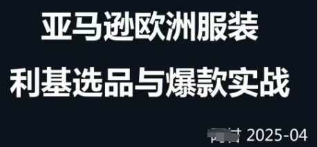 跨境电商选品案例24-25年，聚焦跨境电商选品策略与运营优化，助力卖家挖掘蓝海市场小白网创_互联网创业项目_网络创业小白网创