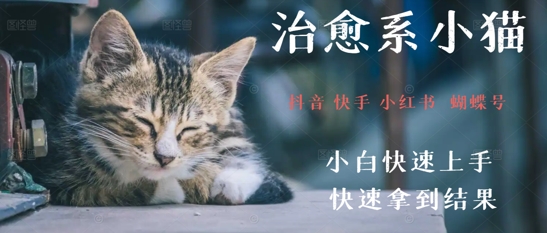 拆解，疯狂火爆！抖音，小红书，视频号小猫治愈的视频，轻松制作+快速拿到结果小白网创_互联网创业项目_网络创业小白网创