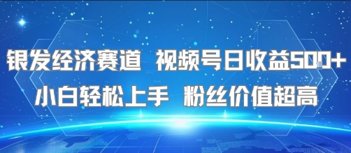 银发经济赛道 视频号日收益5张+ 小白轻松上手  粉丝价值超高小白网创_互联网创业项目_网络创业小白网创