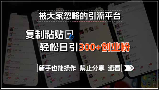 （15428期）被大家忽略的引流平台，复制粘贴轻松日引300+创业粉，新手也能操作，禁…小白网创_互联网创业项目_网络创业小白网创
