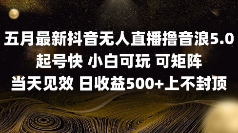 2025五月最新无人直播撸音浪单日产出5张+实操教程【揭秘】小白网创_互联网创业项目_网络创业小白网创