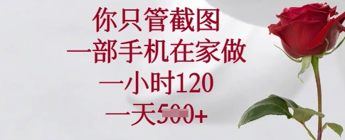 你只管截图，一部手机在家做，一小时120.一天5张【揭秘】小白网创_互联网创业项目_网络创业小白网创