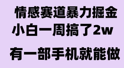情感暴力掘金项目，新人操作一周挣了2W，长期稳定小白可做【揭秘】小白网创_互联网创业项目_网络创业小白网创