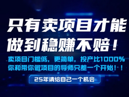 只有卖项目才能做到稳挣不赔，门槛低，更简单，你也可以年入百个W【揭秘】小白网创_互联网创业项目_网络创业小白网创