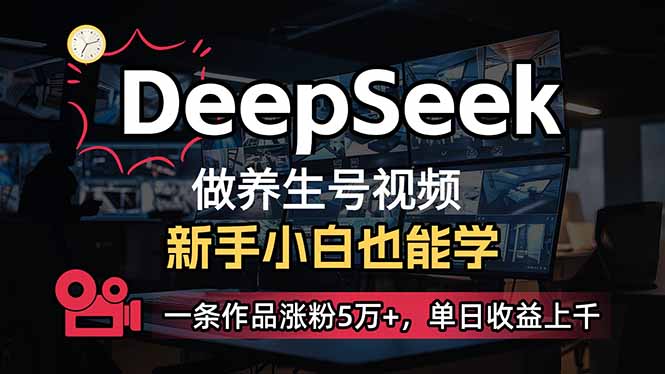 （14199期）小白用DeepSeek做养生号，一条作品涨粉5万+，单日收益上千小白网创_互联网创业项目_网络创业小白网创