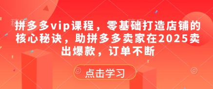 拼多多vip课程，零基础打造店铺的核心秘诀，助拼多多卖家在2025卖出爆款，订单不断小白网创_互联网创业项目_网络创业小白网创