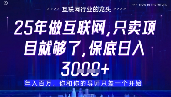 什么！25年你还在找项目做？风口早就变了，卖项目才是稳挣不赔【揭秘】小白网创_互联网创业项目_网络创业小白网创