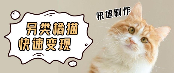 5个作品涨粉30W！AI+江湖橘猫视频制作，小白轻轻松松上手，条条爆款，条条变现，单日就能收益小白网创_互联网创业项目_网络创业小白网创