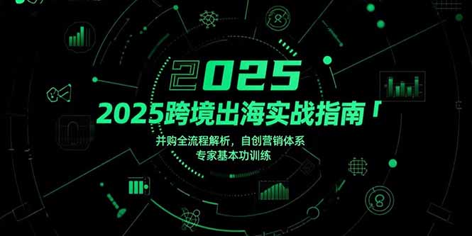 （15503期）2025跨境出海实战指南，并购全流程解析，自创营销体系，专家基本功训练小白网创_互联网创业项目_网络创业小白网创