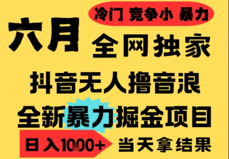 25年6月高爆抖音无人直播最新撸音浪掘金项目，小白可做，无脑日入1k+，门槛低可批量矩阵【揭秘】小白网创_互联网创业项目_网络创业小白网创
