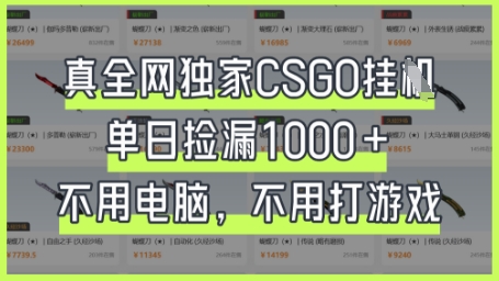 真全网独家CSGO挂G，单日捡漏1k+【揭秘】小白网创_互联网创业项目_网络创业小白网创