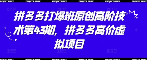 拼多多打爆班原创高阶技术第43期，拼多多高价虚拟项目小白网创_互联网创业项目_网络创业小白网创