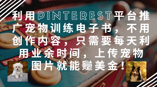利用Pinterest平台推广宠物训练电子书，不用创作内容，只需要每天利用业余时间，上传宠物图片就能挣美金!小白网创_互联网创业项目_网络创业小白网创