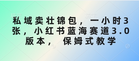 私域卖壮锦包，一小时3张，小红书蓝海赛道3.0版本， 保姆式教学小白网创_互联网创业项目_网络创业小白网创
