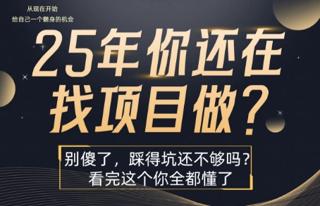 25年，你还在疯狂的找项目吗？别傻了，看完这个你都懂了【揭秘】小白网创_互联网创业项目_网络创业小白网创