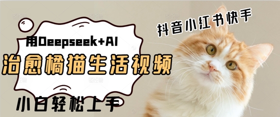 疯狂火爆，用Deepseek+AI做治愈橘猫系列视频，小白轻松制作+快速拿到结果小白网创_互联网创业项目_网络创业小白网创