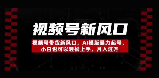 视频号带货新风口，AI模版暴力起号，小白也可以轻松上手，月入过W小白网创_互联网创业项目_网络创业小白网创