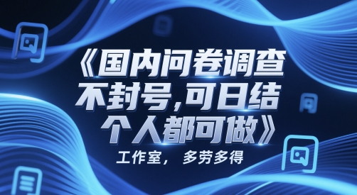 国内问卷调查，不封号，可日结，多劳多得，工作室，个人都可做小白网创_互联网创业项目_网络创业小白网创