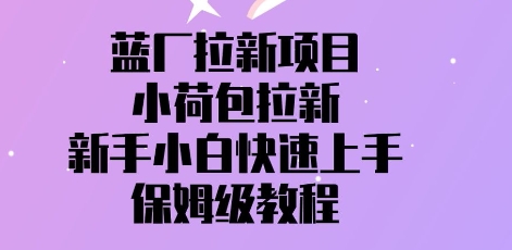 蓝厂拉新项目，小荷包拉新，新手小白快速上手，保姆级教程小白网创_互联网创业项目_网络创业小白网创