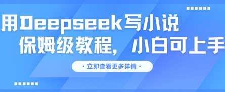 用Deepseek写小说，保姆级教程，小白可实操小白网创_互联网创业项目_网络创业小白网创
