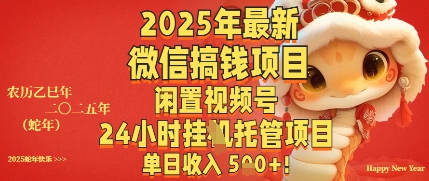 2025年最新微信搞钱项目，闲置视频号年24小时挂G托管项目，单日收入多张小白网创_互联网创业项目_网络创业小白网创