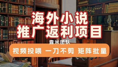 海外小说推广返利项目，视频投喂， 一刀不剪，矩阵批量小白网创_互联网创业项目_网络创业小白网创