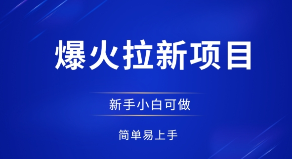 爆火拉新项目，有手就行，小白轻松入门，日入1张拉新整套流程小白网创_互联网创业项目_网络创业小白网创