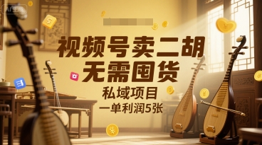 视频号卖二胡，无需囤货，私域项目，一单利润5张小白网创_互联网创业项目_网络创业小白网创