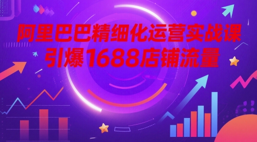 阿里巴巴精细化运营实战课，引爆1688店铺流量小白网创_互联网创业项目_网络创业小白网创