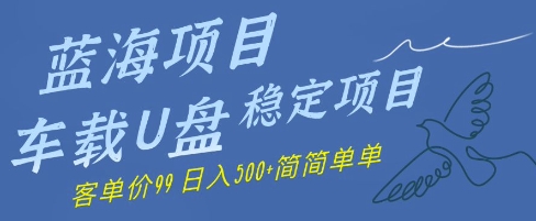 蓝海项目车载U盘稳定项目，挣的就是信息差，客单价99，日入几张简简单单小白网创_互联网创业项目_网络创业小白网创