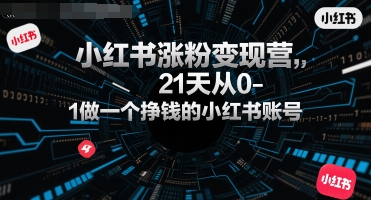 小红书涨粉变现营，21天从0-1做一个挣钱的小红书账号小白网创_互联网创业项目_网络创业小白网创