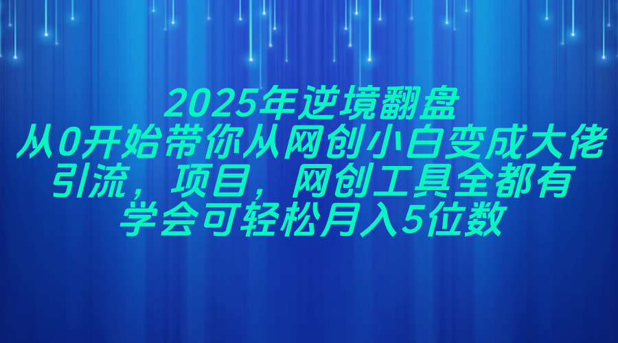 （14473期）2025年逆境翻盘，从0开始带你从网创小白变成大佬，引流，项目，网创工…小白网创_互联网创业项目_网络创业小白网创