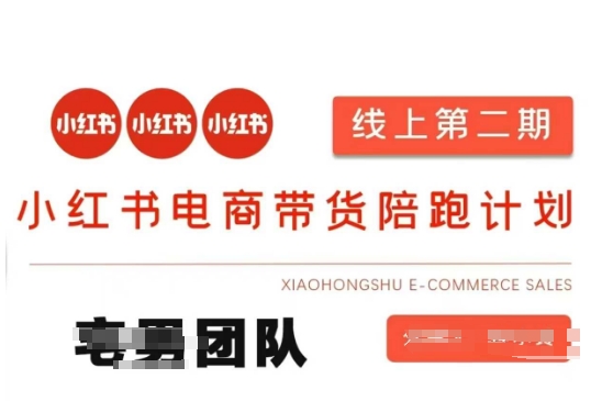 小红书电商带货课2期，月利润20个的小红书电商的有货源，无货源，虚拟产品，付费投流等整套玩法小白网创_互联网创业项目_网络创业小白网创