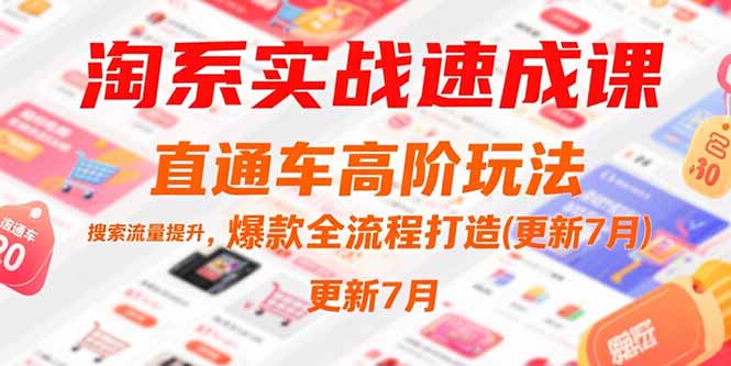 （15374期）淘系实战速成课，直通车高阶玩法，搜索流量提升，爆款全流程打造(更新7月)小白网创_互联网创业项目_网络创业小白网创