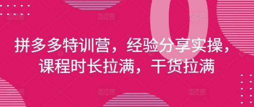 拼多多特训营，经验分享实操，课程时长拉满，干货拉满(更新25年4月)小白网创_互联网创业项目_网络创业小白网创