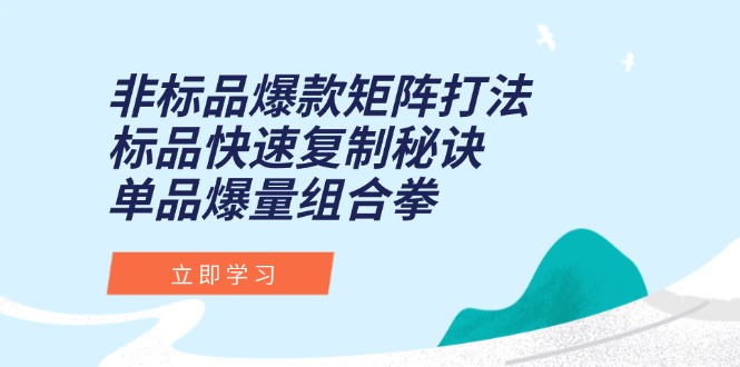 （15068期）非标品爆款矩阵打法，标品快速复制秘诀，单品爆量组合拳小白网创_互联网创业项目_网络创业小白网创