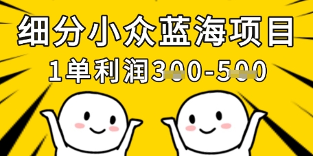细分小众蓝海项目，一单利润3张，每月收入稳定过1w+小白网创_互联网创业项目_网络创业小白网创