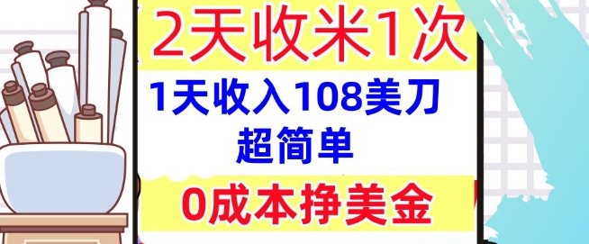 0成本挣美金，超简单，1天收入108刀，2天收米一次，实战教程，首次公开小白网创_互联网创业项目_网络创业小白网创