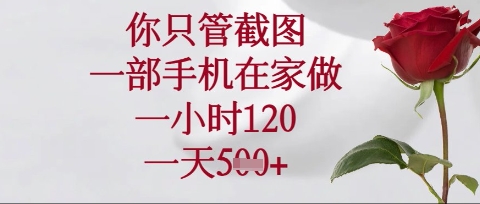 你只管截图，一部手机在家操作，一小时120.一天5张【揭秘】小白网创_互联网创业项目_网络创业小白网创