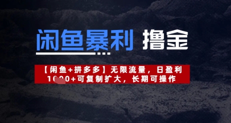 闲鱼暴利撸金无限流量，日盈利几张，可复制扩大，长期可操作小白网创_互联网创业项目_网络创业小白网创