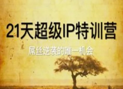 21天超级IP特训营，屌丝逆袭的唯一机会小白网创_互联网创业项目_网络创业小白网创